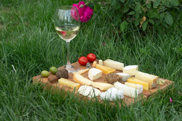 잔디에 소박한 나무 도마에 치즈와 화이트 드라이 와인의 다양한 유형. 프랑스 어 시음 또는 휴일 풍경. — 스톡 사진
