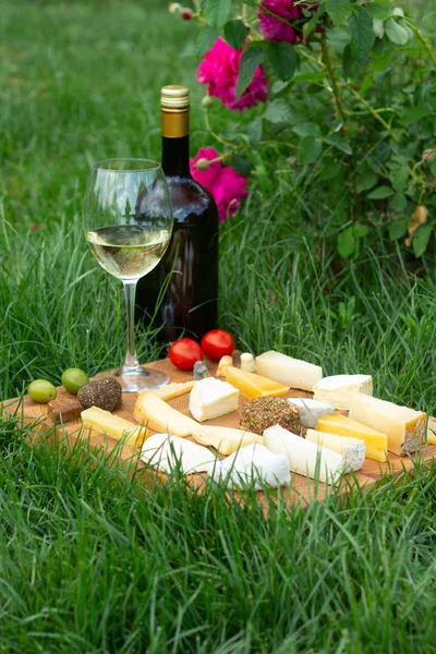 Various types of cheese and white dry wine on a rustic wooden cutting board on the grass. French tasting or holiday landscape. — Stock Photo, Image