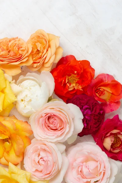 Kwiatowy wzór kolorowych kwiatów róż i zielonych liści na białym tle drewnianym. Żółty, czerwony, biały, różowe róże. Płaski lay, widok z góry. — Zdjęcie stockowe