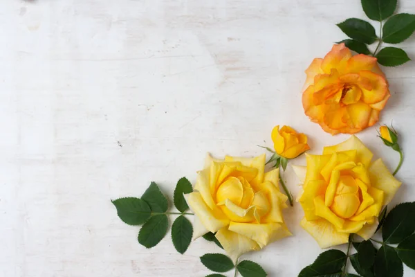 Padrão floral de flores coloridas de rosas e folhas verdes em um fundo de madeira branco. Rosas amarelas, vermelhas, brancas e rosa. Deitado plano, vista superior . — Fotografia de Stock