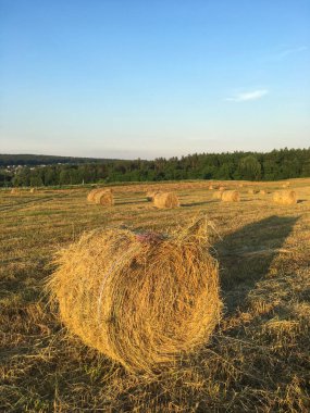 Tarım alanı peyzaj bükülmüş samanlık. Haystack tarım çiftlik alanı görünümü.