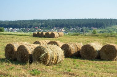 Samanlık hasat tarım alanı manzara. Tarım alanı haystack edersiniz. Samanlık alan panorama.