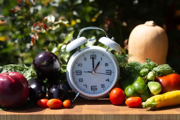 Times to Healthcare sau Diet Food consilier arată ceasul pentru îngrijirea sincronizării sănătatea ta cu alimente sănătoase și concept. Conceptul de alimentație sănătoasă și nutriție. Dieta intermitentă de post — Fotografie, imagine de stoc