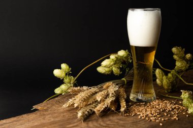 bira üretim-şerbetçiotu ve buğday için bira ve hammadde cam