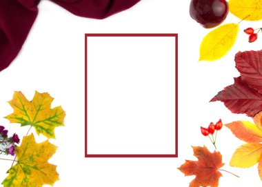 Beyaz arka planda kuru renkli yapraklar. Boşluğu kopyala.