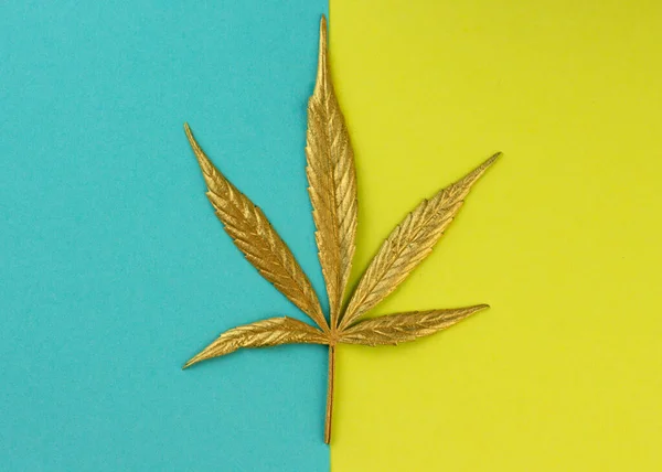 Gouden geel cannabisblad op blauwe en gele achtergrond. — Stockfoto