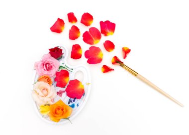 Çok renkli gül goncalarıyla suluboya palet ve beyaz arka planda sanat fırçası. Yazın renkleri. Yaratıcı renkli yaz konsepti. Düz yatış, üst görünüm.