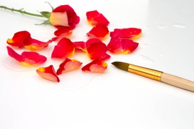 Çok renkli gül goncalarıyla suluboya palet ve beyaz arka planda sanat fırçası. Yazın renkleri. Yaratıcı renkli yaz konsepti. Düz yatış, üst görünüm.