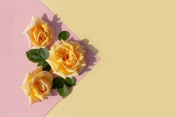 Rosas Amarelas Fundo Geométrico Moda Modelo Moda Estilo Leigo Plano — Fotografia de Stock