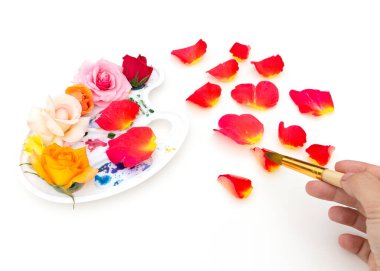 Çok renkli gül goncalarıyla suluboya palet ve beyaz arka planda sanat fırçası. Yazın renkleri. Yaratıcı renkli yaz kavramı.