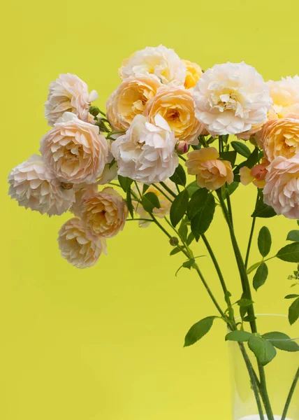 Bukiet Pastel Różowe Róże Przezroczystym Szklanym Wazonie Jasnożółtym Tle Kreatywna — Zdjęcie stockowe