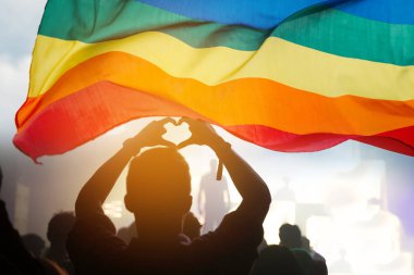 Bir geçit ellerini kaldırdı ve Lgbt bayrağı ile gurur toplum. 