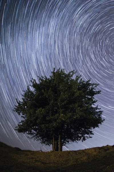 Star trails — Stock Photo, Image