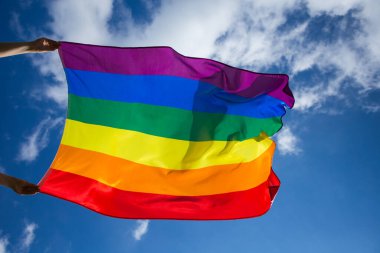 LGBT gay bayrağı rüzgarda dalgalanıyor