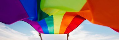 Yeşil bir çayırda elinde Gay Gökkuşağı Bayrağı tutan kadın. Aynı cinsiyet çiftleri için mutluluk, özgürlük ve aşk kavramı. 