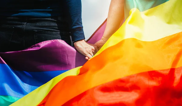 Yeşil bir çayırda elinde Gay Gökkuşağı Bayrağı tutan kadın. Aynı cinsiyet çiftleri için mutluluk, özgürlük ve aşk kavramı. 