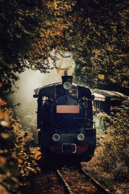 Sonbahar manzarasında eski bir buhar treni