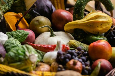 Sonbaharda toplanan çeşitli sebze ve meyveler 