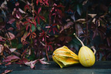 Eşsiz ejderha biçimli kapı kolu