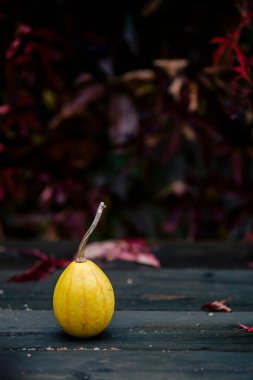 Güzel sonbahar balkabağı manzarası
