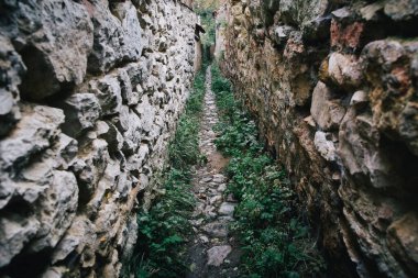 Eski ağaç kabuğu dokusu