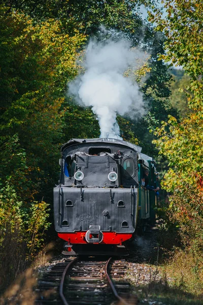 Sonbahar Manzarasında Eski Bir Buhar Treni — Stok fotoğraf