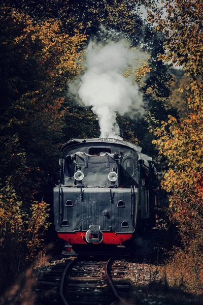 Alte Dampflok Herbstlicher Landschaft — Stockfoto