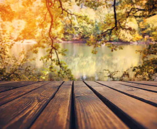 Foglie Autunnali Sentiero Legno Foglie Cadenti Sfondo Naturale — Foto Stock