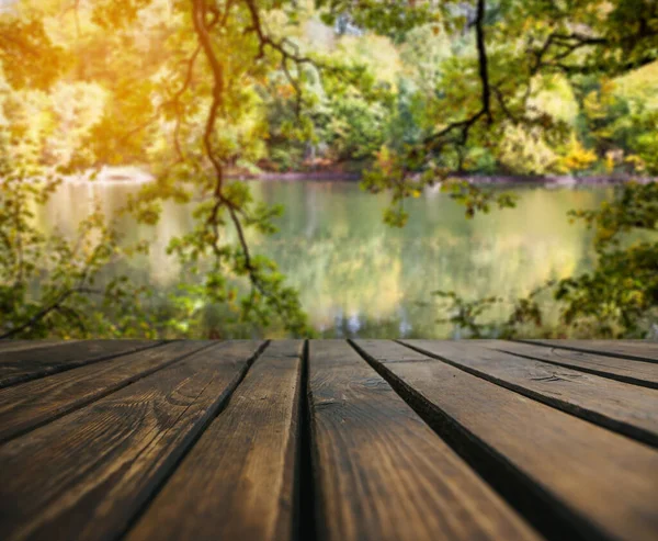 Foglie Autunnali Sentiero Legno Foglie Cadenti Sfondo Naturale — Foto Stock