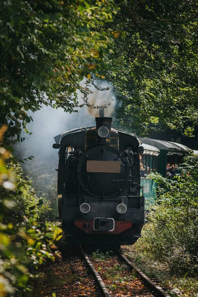 Sonbahar Manzarasında Eski Bir Buhar Treni — Stok fotoğraf