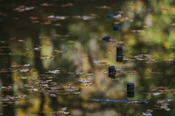 湖の水の中の紅葉 — ストック写真