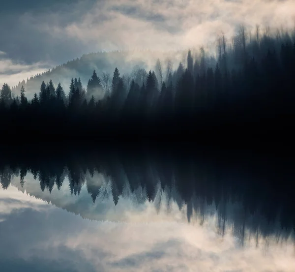Immagine Astratta Con Foresta Nebbiosa Che Sembra Onde Sonore — Foto Stock