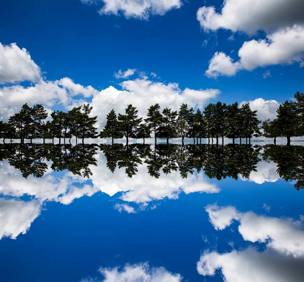 Reflexion Der Tannen Und Blauer Himmel Mit Flauschig Weißen Wolken — Stockfoto