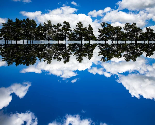 Reflexion Der Tannen Und Blauer Himmel Mit Flauschig Weißen Wolken — Stockfoto