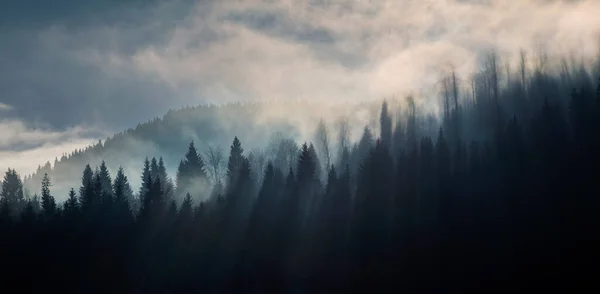 Abstraktes Bild Mit Nebligem Wald Der Wie Schallwellen Aussieht — Stockfoto