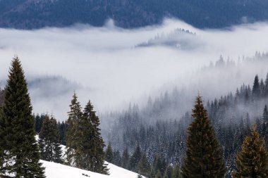 Kışın yükselen sisli dağ manzarası. 