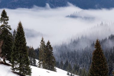 Kışın yükselen sisli dağ manzarası. 