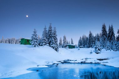 Karlı köknar ağaçlarıyla görkemli kış manzarası. Kış kartpostalı.