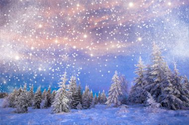 Karlı köknar ağaçlarıyla görkemli kış manzarası. Kış kartpostalı.