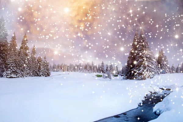 Paysage Hivernal Majestueux Avec Sapins Neigeux Carte Postale Hiver — Photo