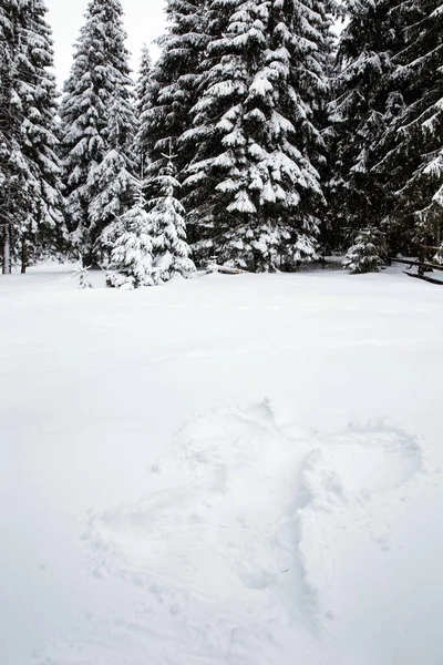 Kobieta Robi Śnieżnego Anioła Śniegu Czas Zimowy — Zdjęcie stockowe