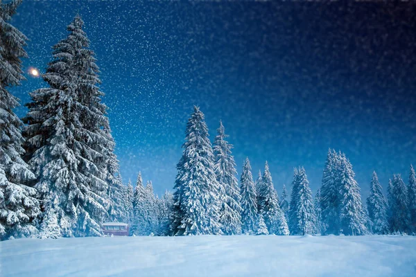 Majestatyczny Zimowy Krajobraz Śnieżnymi Jodłami Pocztówka Zimowa — Zdjęcie stockowe