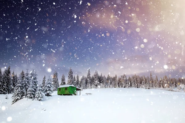 Paysage Hivernal Majestueux Avec Sapins Neigeux Carte Postale Hiver — Photo