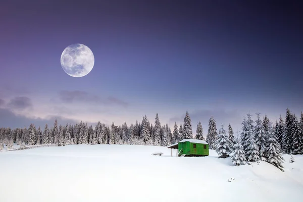 雪のモミの木と雄大な冬の風景 冬絵葉書 — ストック写真