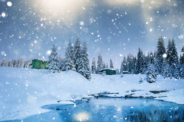 Majestätische Winterlandschaft Mit Schneebedeckten Tannen Winterpostkarte — Stockfoto