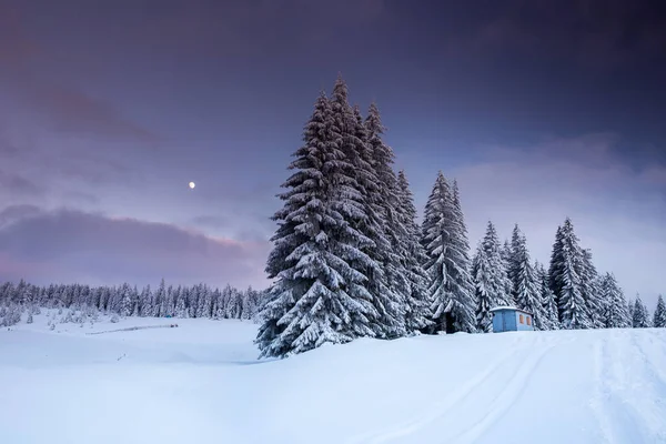 Majestätische Winterlandschaft Mit Schneebedeckten Tannen Winterpostkarte — Stockfoto