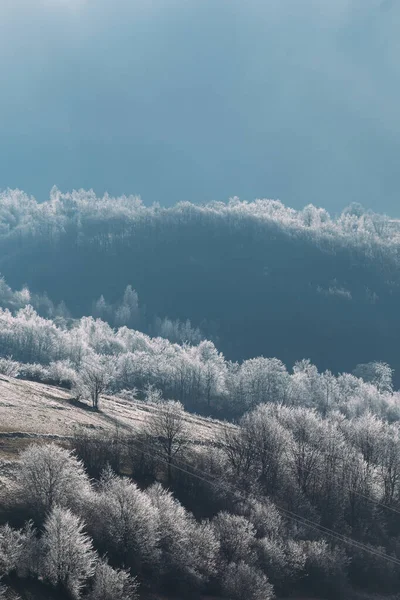 Frysta Träd Vinter Landskap — Stockfoto