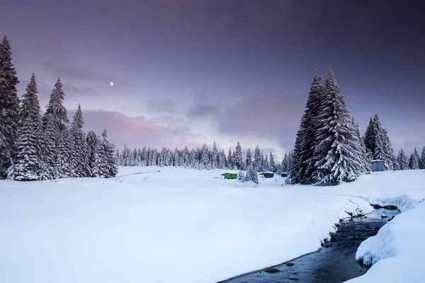 Μαγευτικό Χειμερινό Τοπίο Χιονισμένα Έλατα Χειμερινή Κάρτα — Φωτογραφία Αρχείου