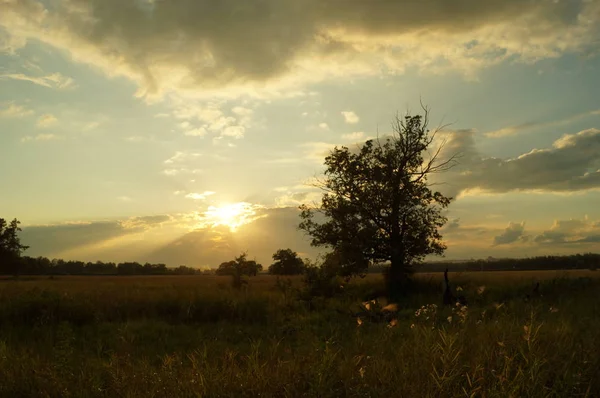 Bazı Nehri yakınında güzel gün batımı