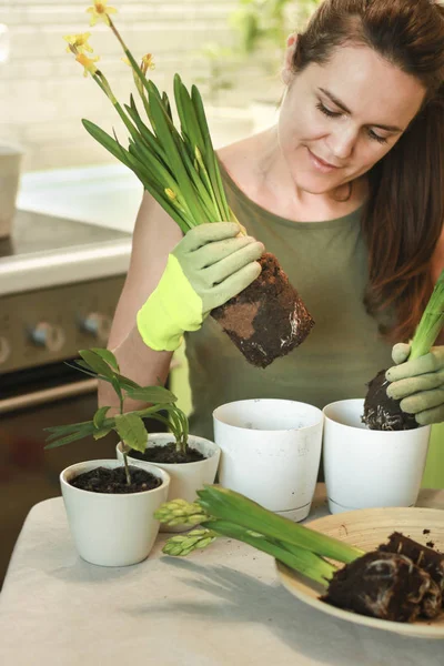 Mujer Jardinero Con Plantas Habitación Trasplanta Flores Macetas Concepto Hogar — Foto de Stock